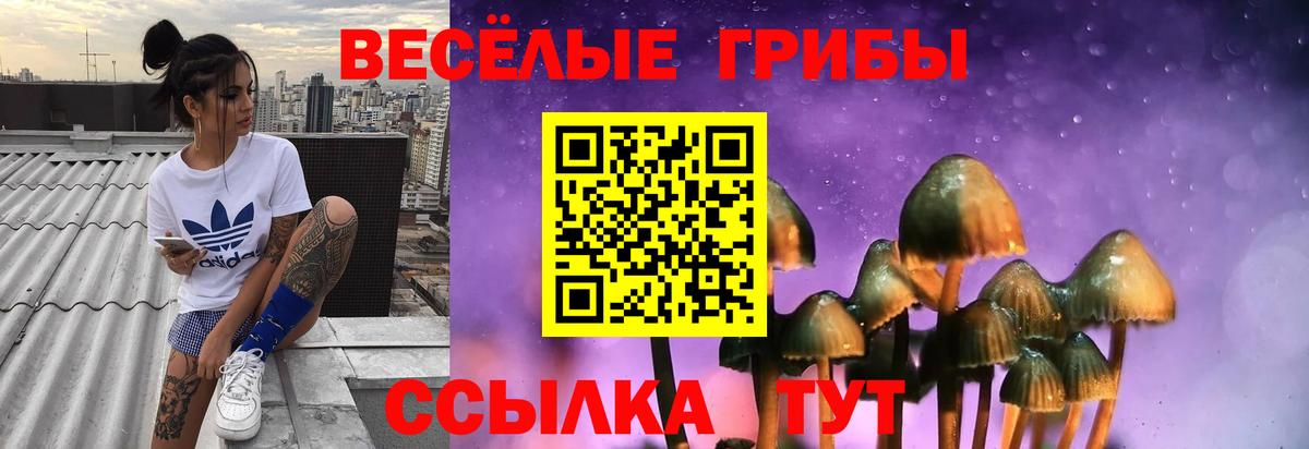 Псилоцибиновые грибы Psilocybe  Галлюциногенные грибы мухоморы  Волжск  даркнет сайт  Вход с VPN 